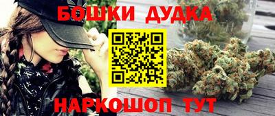 индика Бузулук