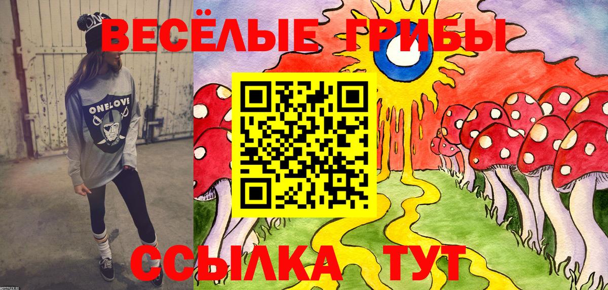 Псилоцибиновые грибы прущие грибы Кострома