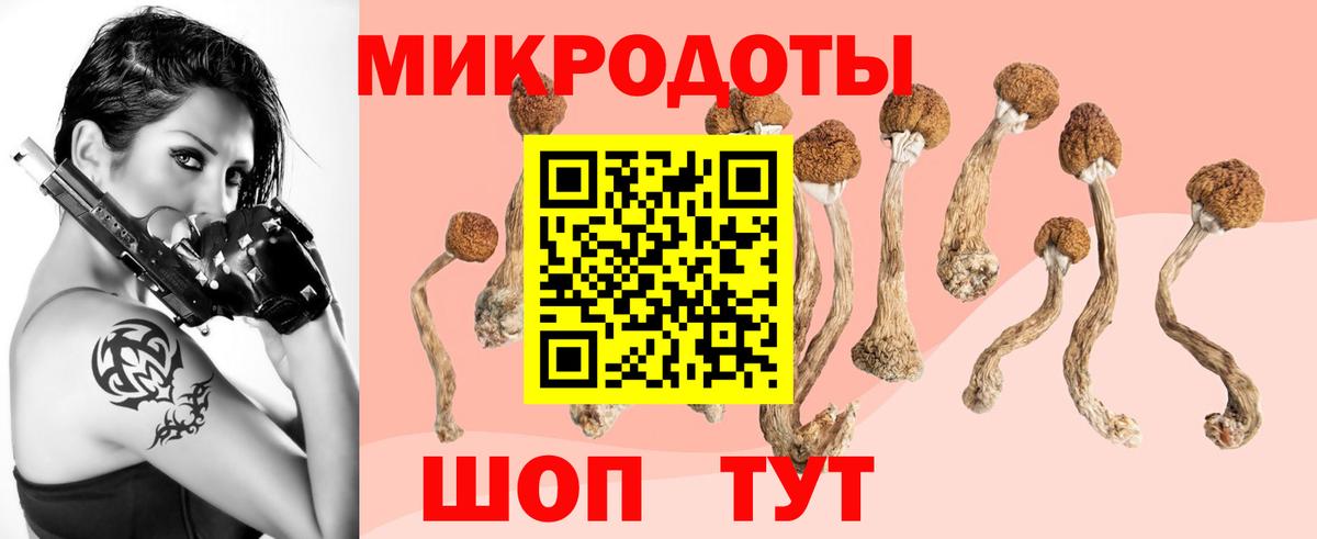 Кострома  Галлюциногенные грибы мухоморы  Вход с VPN 